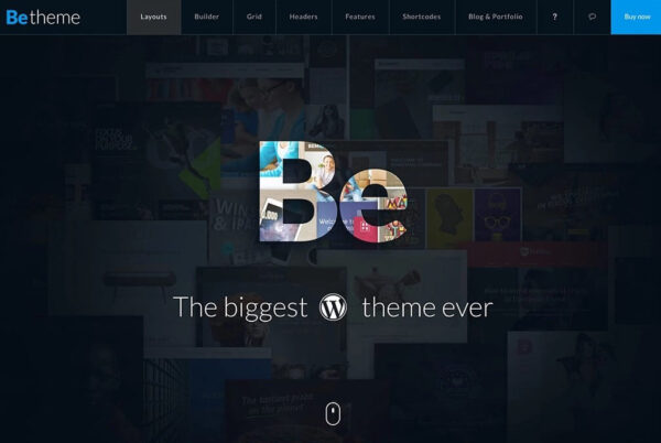 BeTheme - Image 6